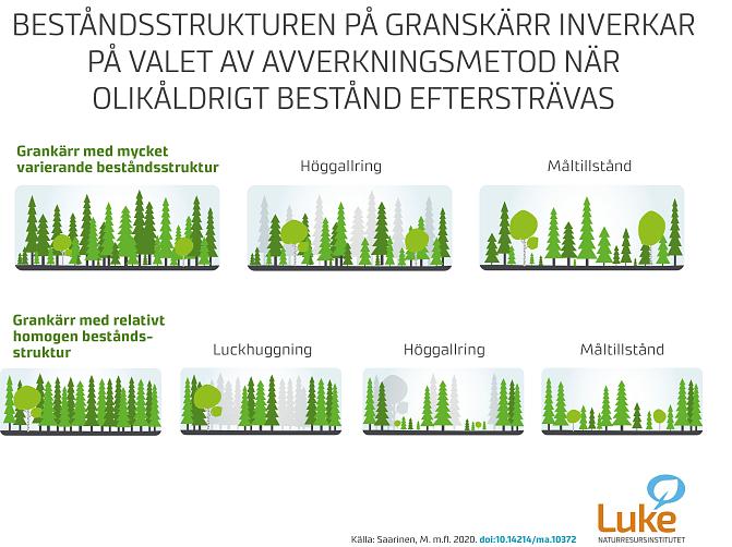 Infografik som visar hur beståndets struktur påverkar valet av avverkningsmetod när man siktar på ett bestånd i olika åldrar. 