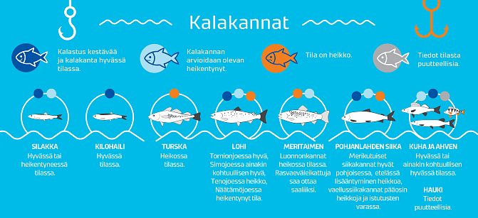 Itämeren kalakantojen tila vaihtelee lajeittain. Kilohaili on kokonaisuutena parhaassa tilassa.