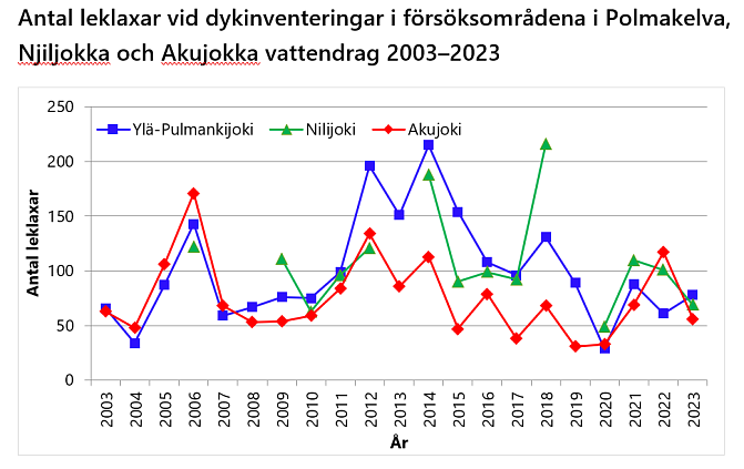 Antal leklaxar vid dykinventeringar i försöksområdena i Polmakelva, Njiljokka och Akujokka vattendrag 2003–2023