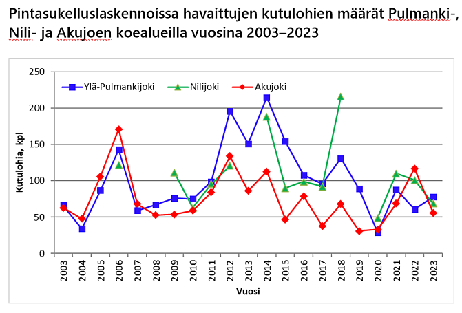 Pintasukelluslaskennoissa havaittujen kutulohien määrät Pulmanki-, Nili- ja Akujoen koealueilla vuosina 2003–2023