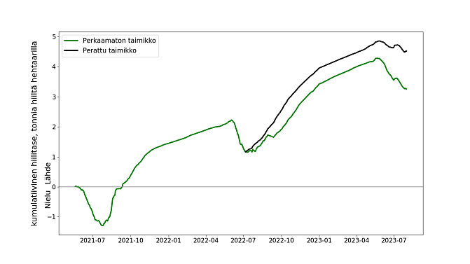 Vuoden yli tarkasteltuna kuusen taimikko on edelleen hiilen lähde kahdeksan kasvukautta hakkuusta. Varhaisperkaus vähentää hiilen sitoutumista ja lisää hiilen vapautumista ilmakehään etenkin kasvukaudella perkaamattomaan käsittelyyn verrattuna. Kuva perustuu Ilmatieteenlaitoksen jatkuvatoimiseen hiilivuomittaukseen ja siinä esitetään kumulatiivinen hiilitase Nastolan koetaimikossa mittausten alusta, toukokuusta 2021 lähtien. Kesällä taimikko sitoo hiiltä ja muulloin sitä vapautuu.