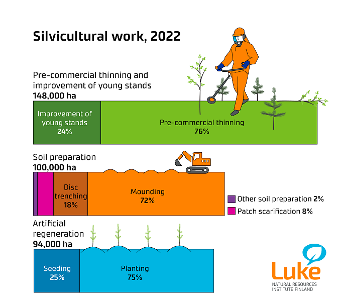 Infographic showing the amount of forest management work in 2022.