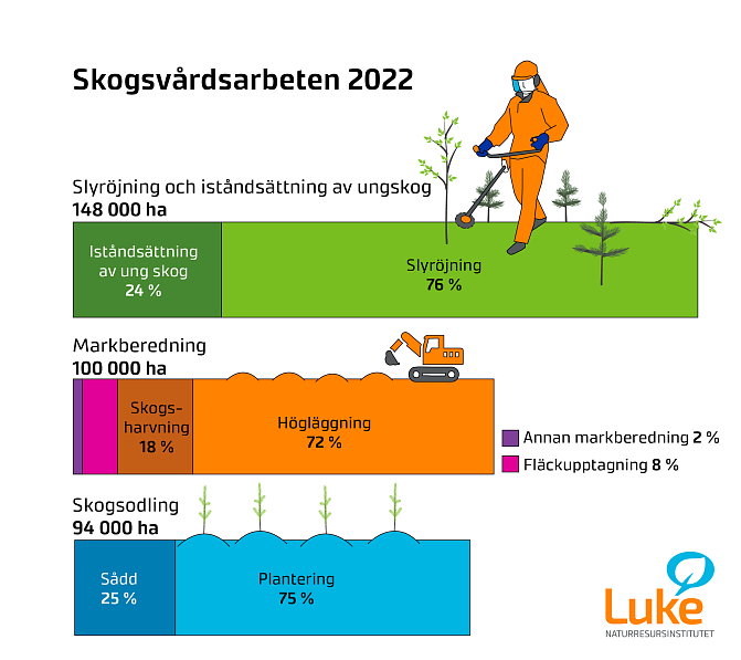 Infografik som visar mängden skogsförvaltningsarbete under 2022.