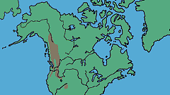 Abies lasiocarpa - levinneisyyskartta