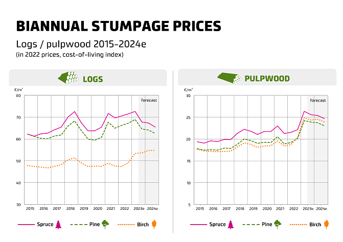 Biannual stumpage prices 2015-2024f