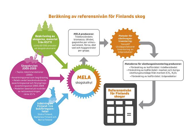 Grafen visar hur referensnivån har beräknats. Naturresursinstitutet använde VMI11-data för att simulera skogsutvecklingen från 2011, statistiska data om faktiska avverkningar från 2011 till 2015, metoderna för växthusgasinventeringen för 2019 och MELA-programvaran. MELA är en programvara för analys och planering av skogsbruk som utvecklats för finska förhållanden.
