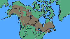 Picea glauca - levinneisyyskartta