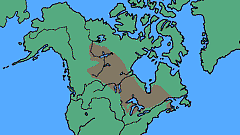 Pinus banksiana - levinneisyyskartta