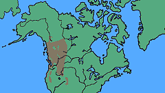 Pinus contorta ssp. latifolia - levinneisyyskartta