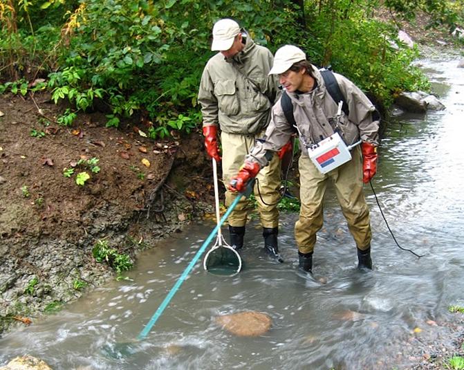 Sähkökoekalastusta Longinojalla