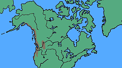 Tsuga heterophylla - levinneisyyskartta