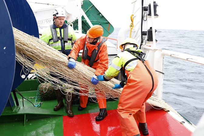 Kolme miestä nostamassa troolia tutkimusalus Arandan tutkimusmatkalla.