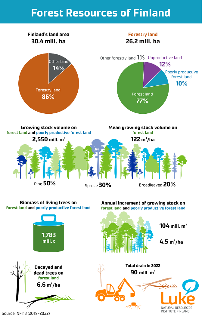 Infographic showing Finland's forest resources in 2023.