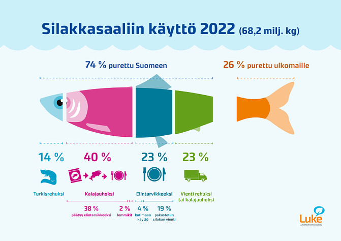 Silakkasaaliin käyttö