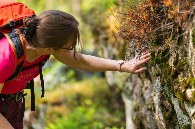 Nainen koskettaa kädellä sammalta ruskaisessa metsässä.