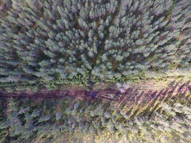 Dronesta kuvattuja raiteita eli pehmeään maahan muodostuneita ajouria.
