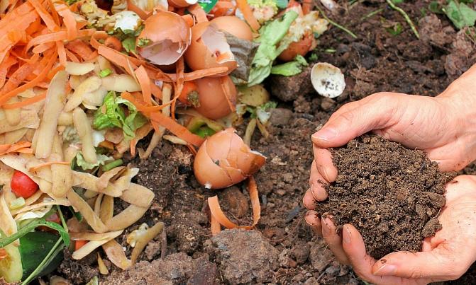 There are food waste in a field.