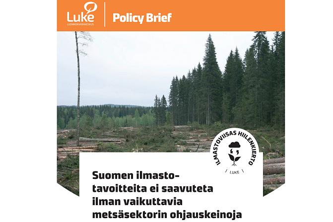 Politiikkasuosituksen kansikuva, jossa näkyy metsähakkuutyömaata
