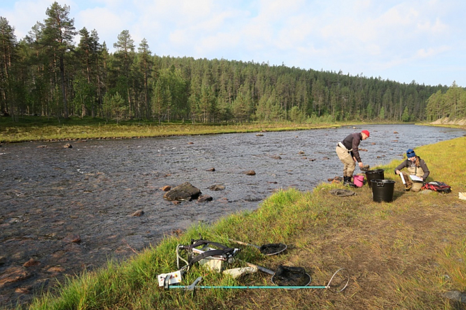 Kaksi miestä koekalastavat Tolosjoen varrella. Menetelmänä sähkökoekalastus.