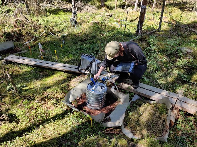 näytteenottoa metsässä life orgbalt