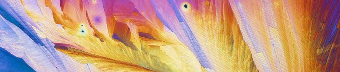 Värikäs kuvituskuva. Luke tohtoriopinnot tarjoavat väitöskirjatutkijoille tuen ja ohjauksen väitöskirjatyön tekoon.