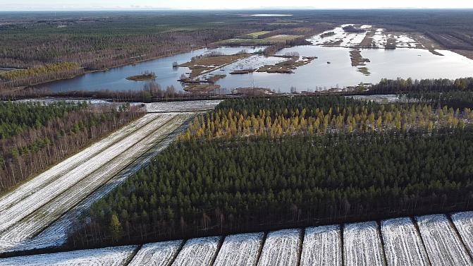 Yleiskuva Hirvinevasta