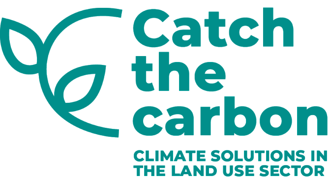 Catch the Carbon logo