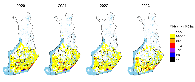 Vildsvinens utbredning och antal utifrån älgjägarnas uppskattningar från och med 2020. I likhet med tidigare år finns det regionalt sett flest vildsvin i sydöstra Finland och östra Nyland, men enstaka koncentrationer påträffas också på andra håll i västra och södra Finland.