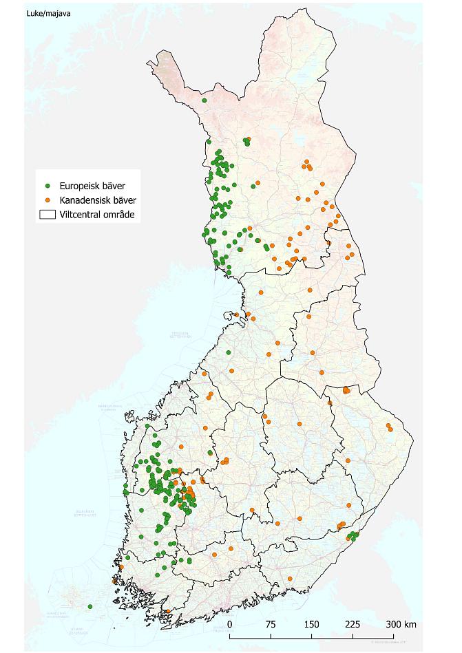 Kartan över Finland visar de DNA-prover som samlats in från europeiska och kanadensiska landraser.