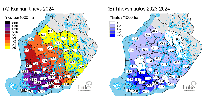 Kahdessa Suomen kantassa kuvataan valkohäntäpeurakannan tiheyttä ja sen muutoksia. Etelä- ja Keski-Suomi.