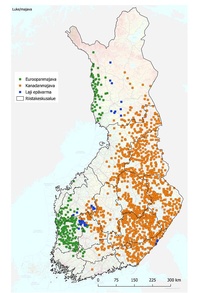 Suomen kartalle on merkitty euroopan- ja kanadanmajavan pesät syksyn 2023 seurannan mukaan.