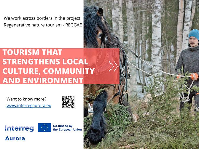 The poster of the REGGAE project