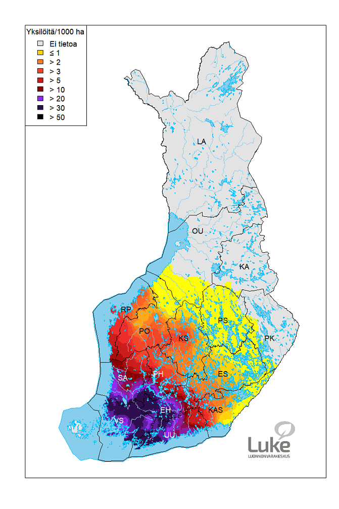 Valkohäntäpeurakanta on tiheimmillään Lounais-Suomessa