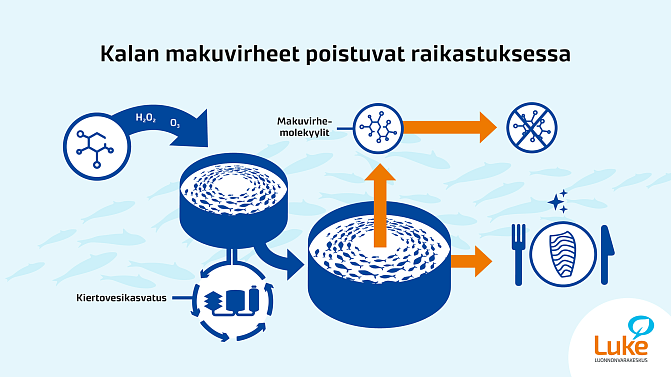 Grafiikka makuvirheiden poistosta raikastuksessa