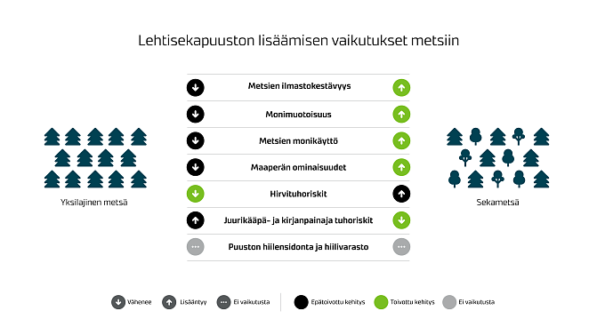 Lehtisekapuuston lisäämisen vaikutukset metsiin -grafiikka