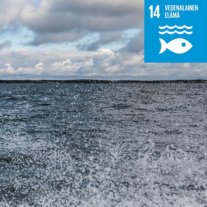 SDG 14 Veden alainen elämä