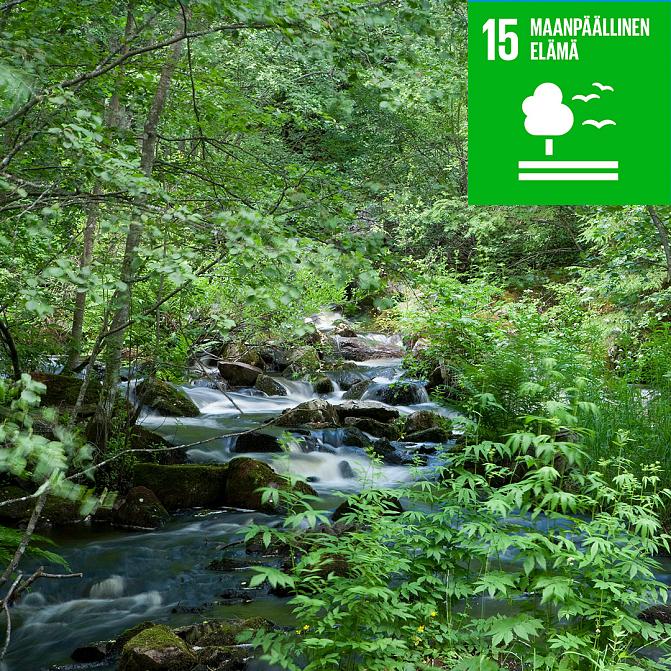 SDG 15 Maanpäällinen elämä