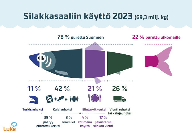 Infograafissa esitetään kalan ensiostoilmoituksiin ja kalan ulkomaankauppatilastoon perustuvia tietoja silakkasaaliin käytöstä. 78 % saaliista purettiin Suomeen ja 22 % ulkomaille. Suomeen puretusta silakkasaaliista 11 % käytettiin turkisrehuna, 42 % kalajauhona, 21 % elintarvikkeena ja 26 % vietiin ulkomaille rehuksi tai kalajauhon raaka-aineeksi.