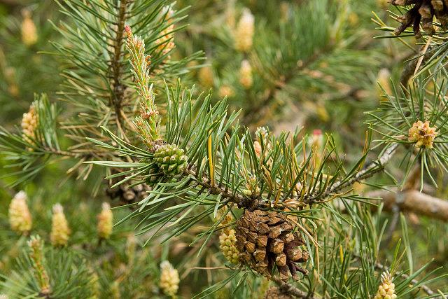 _Q4F2646_eo0905 (1).jpg