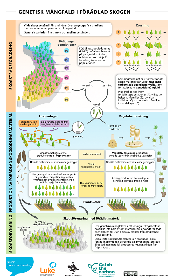 genetic_diversity_09_SE_v1.png