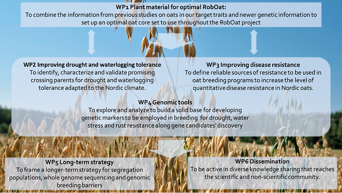 Six workpagages of the RobOat project