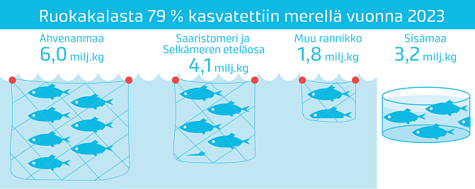 Infograafi, jossa esitetään, miten ruokalaa kasvatettiin sekä meri- että sisävesialueella.