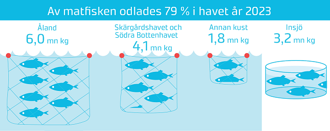 Infografik som visar att 15,2 miljoner kilo matfisk odlades i Finland år 2023, i nätdammar till havs och i bassänger och recirkulationssystem på land. Foderfisk odlades både till havs och på land.