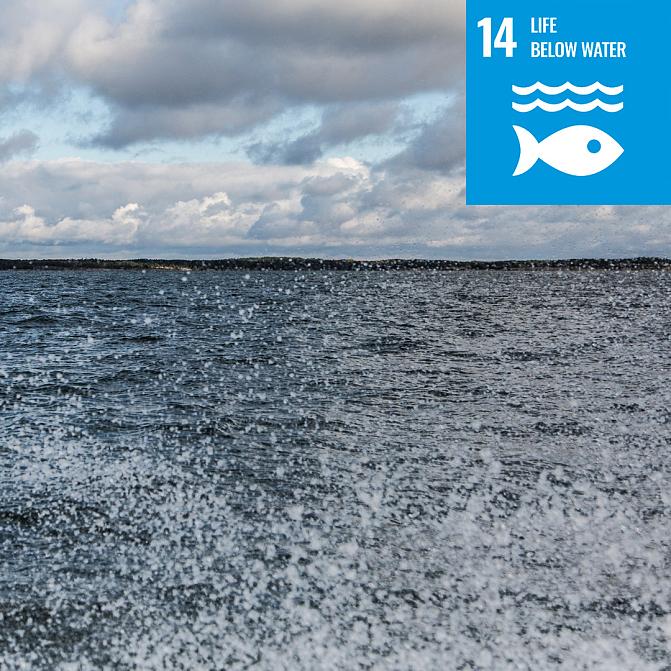 SDG 14 Life below water