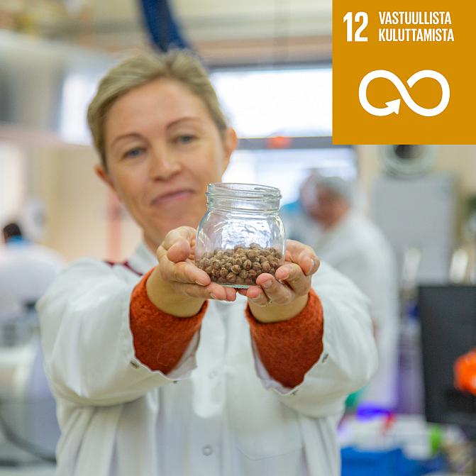 SDG 12 Responsible consumption and production