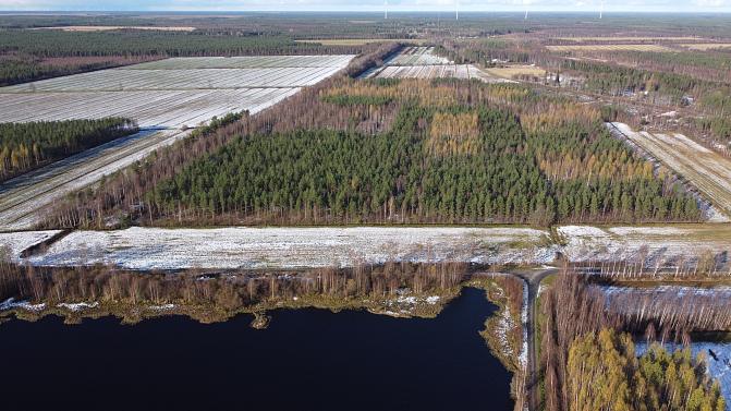 Hirvineva ilmasta kuvattuna