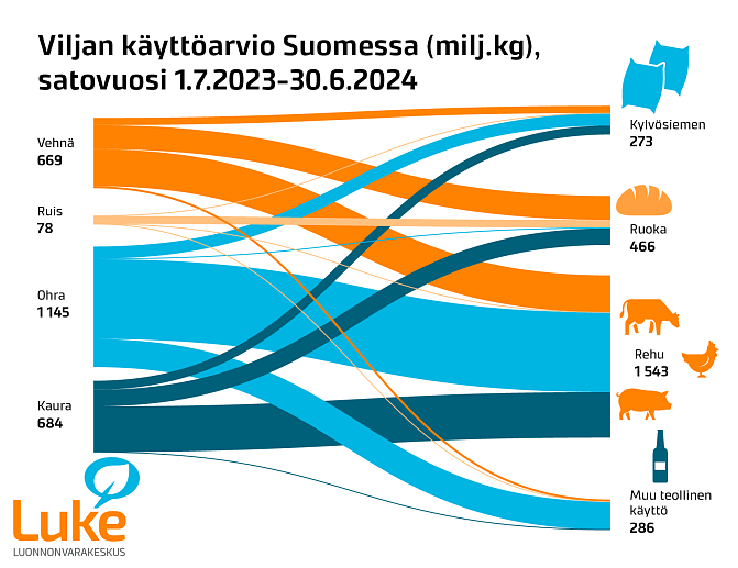 Infograafi, jossa esitetään, että ohraa käytettiin vuoden 2023 viljasadosta Suomessa noin 1100 miljoonaa kiloa satovuoden aikana. Vehnän, kauran ja rukiin käyttömäärä oli yhteensä noin 1400 miljoonaa kiloa. Rehuksi viljaa käytettiin noin 1500 miljoonaa kiloa. Loppuosa eli noin miljoona kiloa käytettiin pääosin elintarvikkeiksi, juomateollisuuteen ja kylvösiemeneksi.