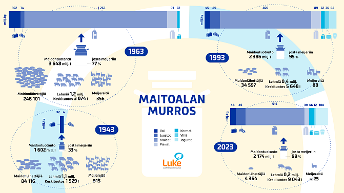 Infograafi, jossa esittetään maitoalan murros eri vuosikymmenillä. Mukana paljon tilastodataa, jota on esitetty tarkemmin maidontuotantotilastossa ja ravintotasessa. 