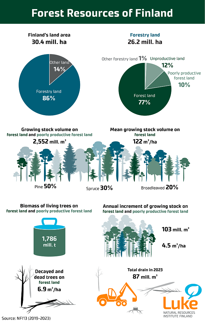 Infographic showing Finland's forest resources in 2024. More detailed information can be found in the National Forest Inventory 2019-2023. 