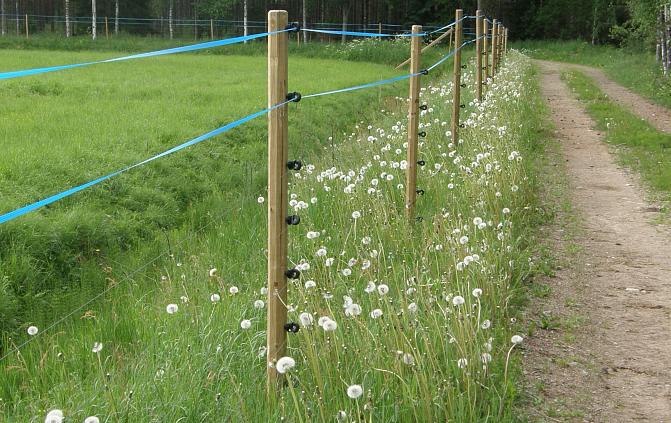 Ett rovdjursstängsel.